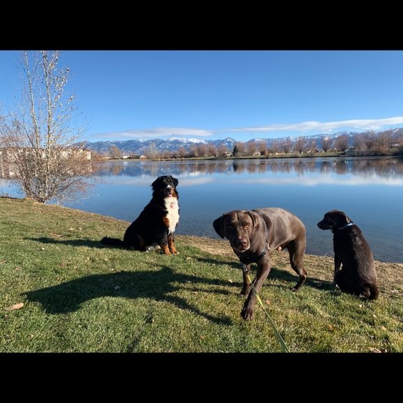 Meet your Posher, Jedda - Picture 5 of 8